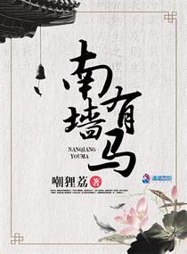 南墙的南墙是什么意思
